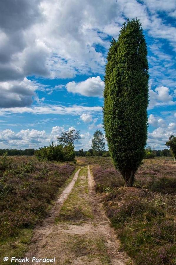 Aa Casia Vakantiehuis Zeegse Zewnętrze zdjęcie